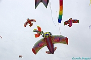 RIMINI 2012 - 074